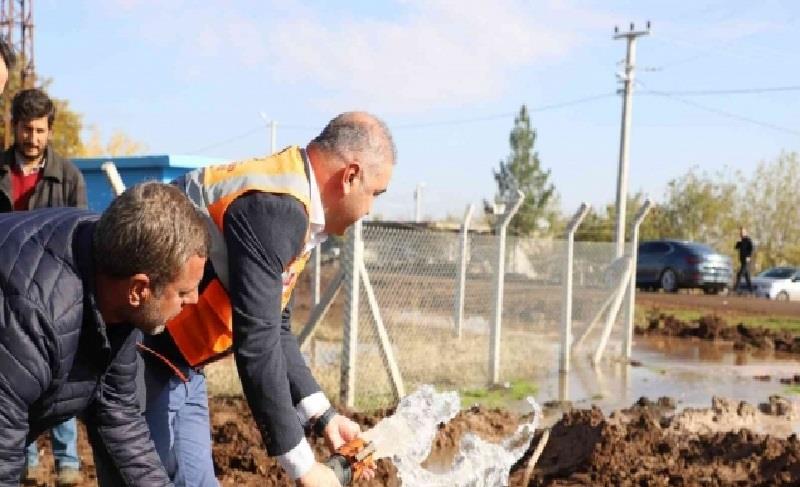 LI PARKA NEV BAXÇE HILBERÎNA SEBZE Û FÊKÎYAN DEST PÊ KIR