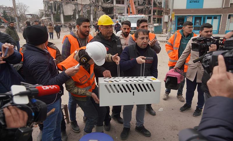 GALERİA SİTESİNDE KURTARILAN KEDİ SAYISI 7’YE ULAŞTI