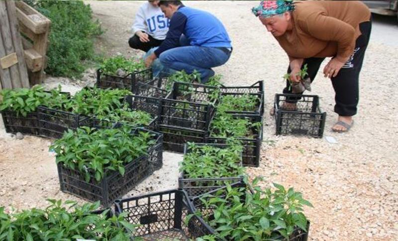 HATAY’DA ÇİFTÇİLER İÇİN ‘ASKIDA FİDE’ KAMPANYASI