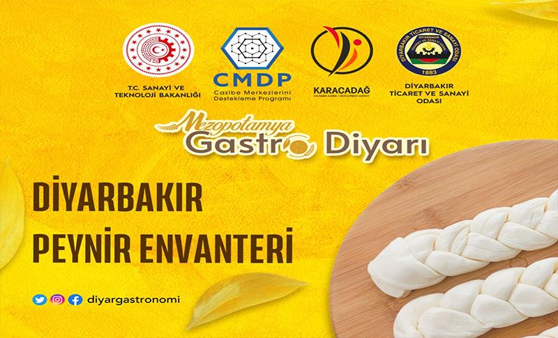 GASTROİNOVASYON MERKEZİ PROJESİ KAPSAMINDA DİYARBAKIR PEYNİR ENVANTERİ HAZIRLANDI