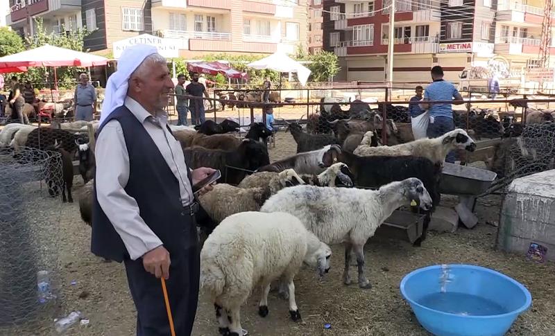 DİYARBAKIR’DA KURBAN KESİM VE SATIŞ YERLERİ BELLİ OLDU