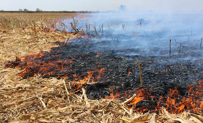 LI AMEDÊ KESÊN PIRÊZEYAN BIŞEWITÎNIN WÊ CEZAYÊ PERE LÊ WERE BIRRÎN