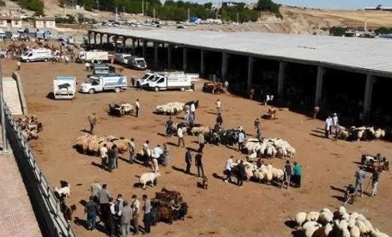 DİYARBAKIR'DA KURBAN SATIŞ VE KESİM YERLERİ BELİRLENDİ