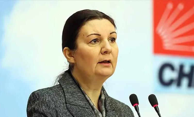 CHP’Ê LI DIJÎ DAXUYANÎYA “DIBISTANÊN KEÇAN” BERTEK NÎŞAN DA