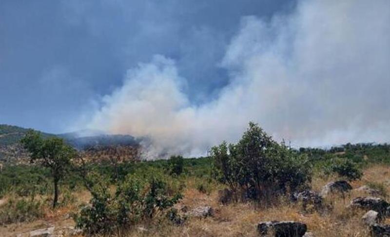 DİYARBAKIR'DA ÖRTÜ YANGINI!