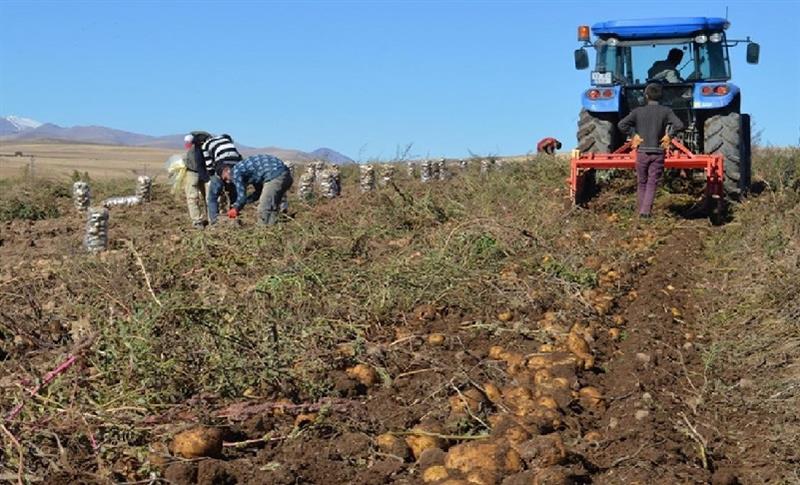 TARIM ÜRÜNLERİ ÖNCEKİ AYA GÖRE  YÜZDE 8,03 ARTTI