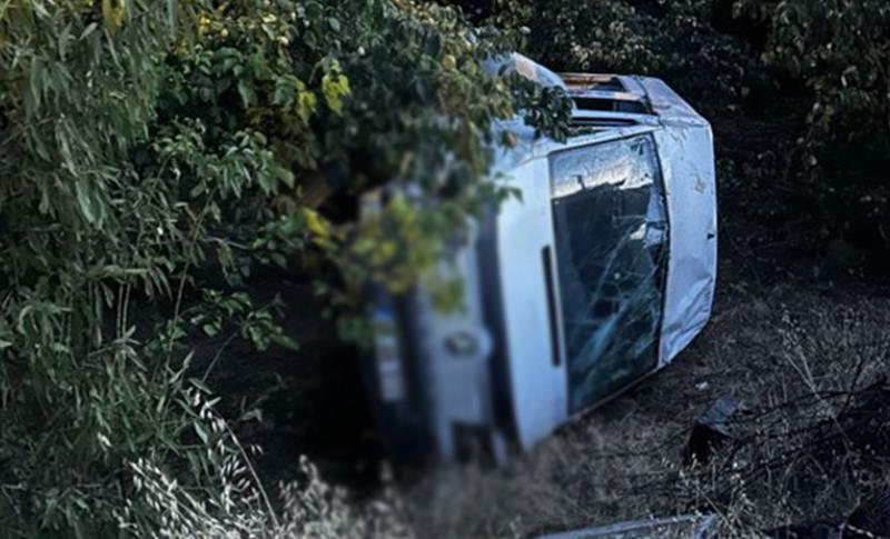 LI ELEZÎZÊ MÎNÎBUS QELIBÎ, 3 KES BIRÎNDAR BÛN