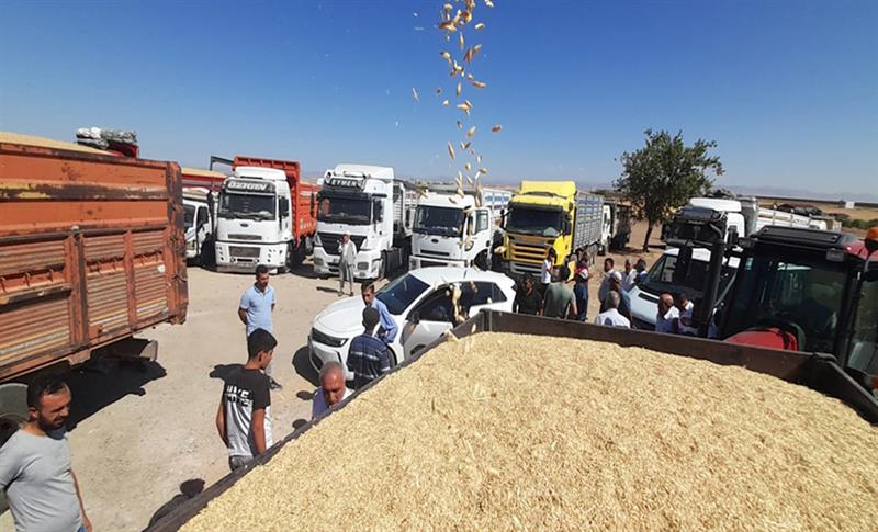 DİYARBAKIR’DA MAHSUL YÜKLÜ KAMYONLARLA GÜNLERDİR TMO ÖNÜNDE BEKLİYORLAR