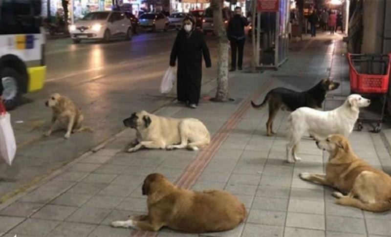 3 WEZARET JI BO KÛÇIKÊN BÊ XWEDÎ WÊ BI HEV RE BI XEBITIN