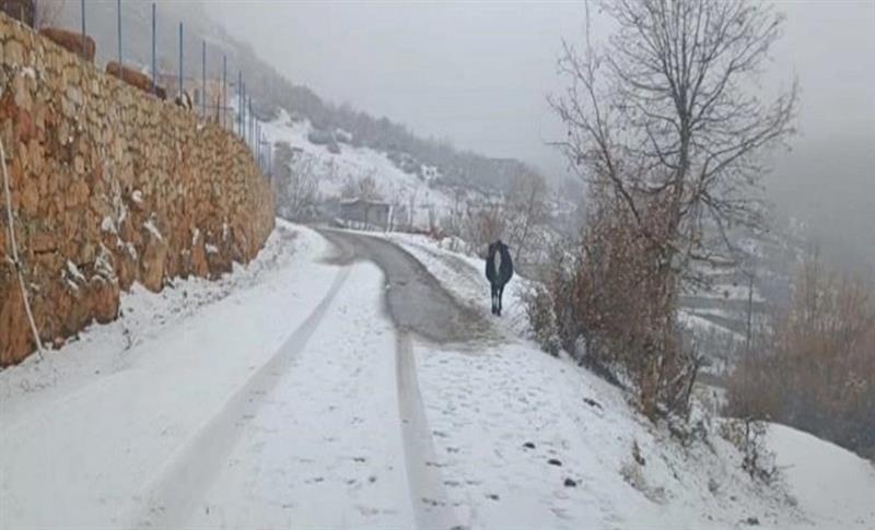 LI AMEDÊ BERFA ÎSAL A EWIL BARÎYA