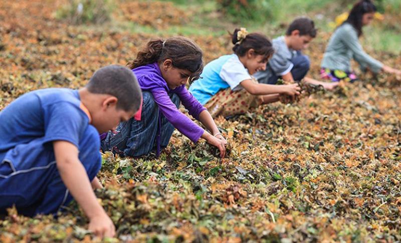 23 NİSAN ÇOCUK RAPORU: 8 ÇOCUK ÖLDÜRÜLDÜ, 65 ÇOCUK İSTİSMARA UĞRADI