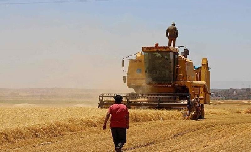 LI AMEDÊ JI BER ZIWAYÎYÊ COTKAR NIKARIN HILBERÎNÊ BIKIN