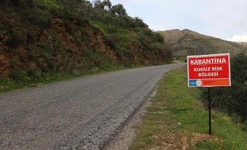 TUNCELİ'DE BİR KÖY KUDUZ KARANTİNASINA ALINDI