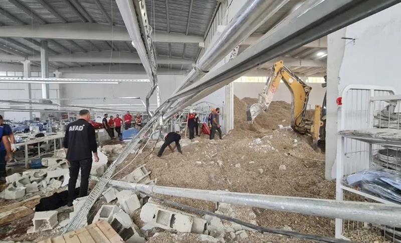 LI RIHAYÊ MAŞÎNEYA KAR LI DÎWAR QELIBÎ: 5 KARKER BIRÎNDAR BÛN